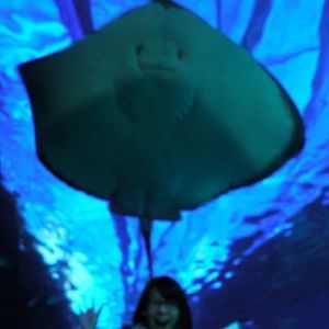 Meet your Posher, Agnes